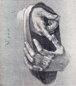 Boy's Hands