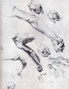 Three Studies From Nature For Adam's Arms In The 1504