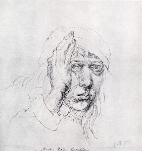 Durer's Wife Agnes