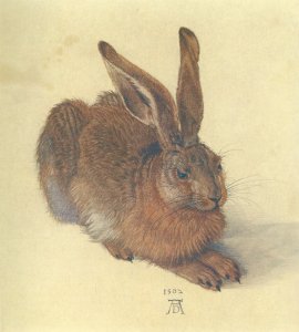 Young Hare I