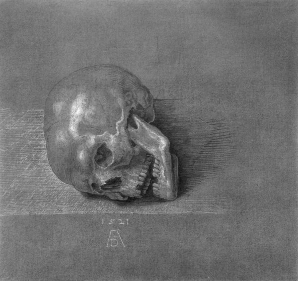 Skull