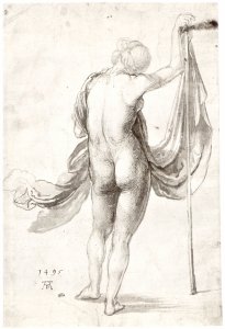 Female Nude from Behind